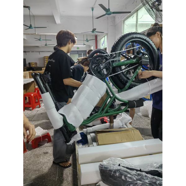 German Warehouse HovCart EU/US/AU Stock Electric City Cargo Bike for Two Children with Protection Seat Torque Sensor Fat Tire