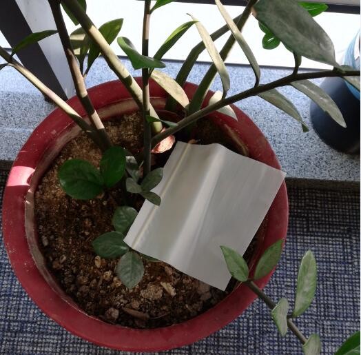 Recyclable Customize Resealable Zipper Bags Invisible Flower Sleeve Packaging