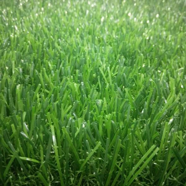 Always Green Artificial Grass Playground Surface 4*25m 2*25m Or Customized