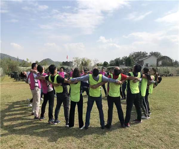 Weichai WD615 Diesel Engine Crankshaft 61560020029 for HOWO STEYR Shaan Auto Parts