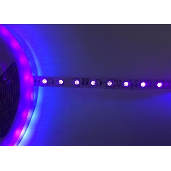 Purple UV 12v 24v Purple Led Light Strip 395nm UV Led Tape 5050 Smd