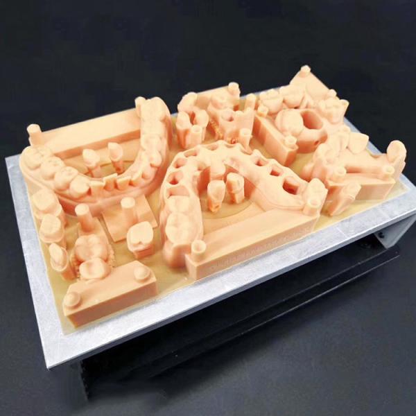 Dental Resin Vacuum Casting Pp Material 3d Printing Sls Printing Service