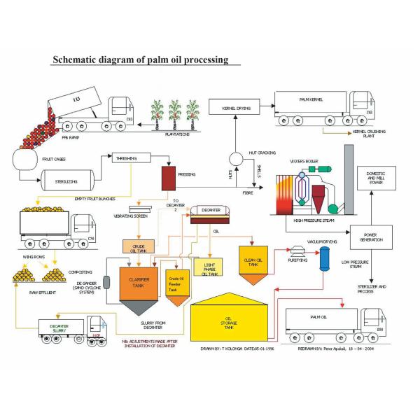Настроенное извлечение постного масла обрабатывающего оборудования пищевого масла для индустрии