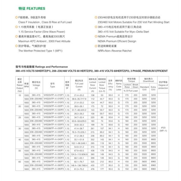 230V Special Electric Motors Vertical Hollow Shaft With NEMA Premium