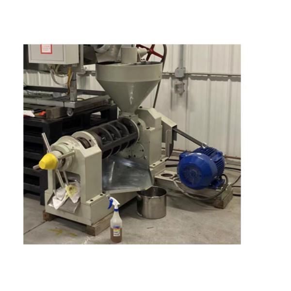 Coconut Automatic Screw Oil Press Machine High Quality Peanut Oil Extrator Cold Press