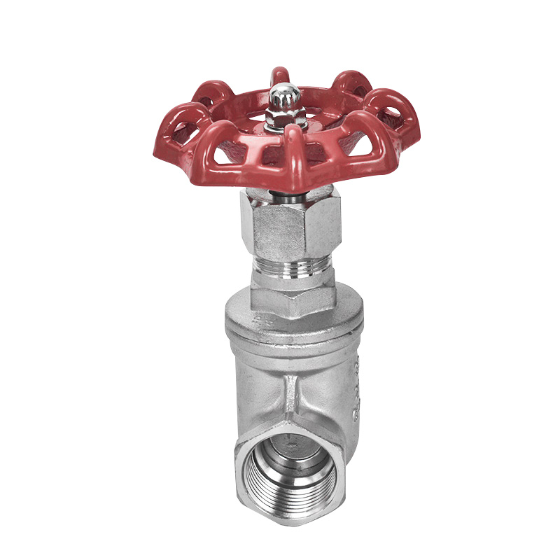 Водный инвестиционный литье CF8 CF8m Bsp BSPT 200wog Промышленный клапан