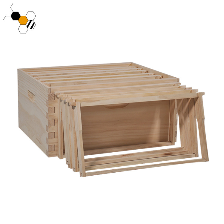 Улей соснового леса узла свободный обрамляет Uncoated для положенного листа Beeswax