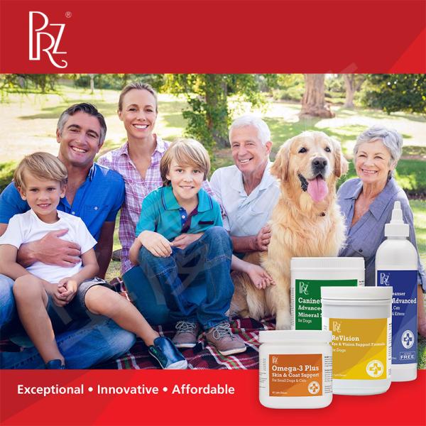 220ML Chlorhexidine Ketoconazole Shampoo For Dogs Cats And Horses