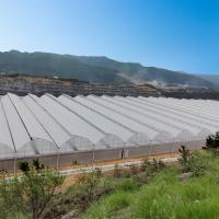 Estufa agrícola/comercial do multi período de Hydrophonic instalou facilmente