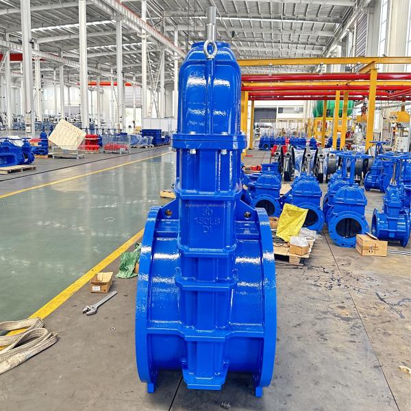 OEM ODM BS5163 Gate Valve Handle Wheel Metal Sealing 30