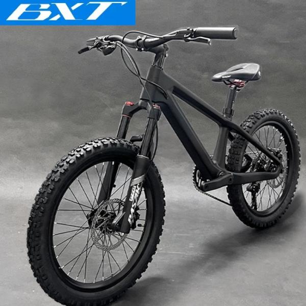 20er Kids Mountain Bike Disc Brake Shimano 10 Speed Bicycle For Children