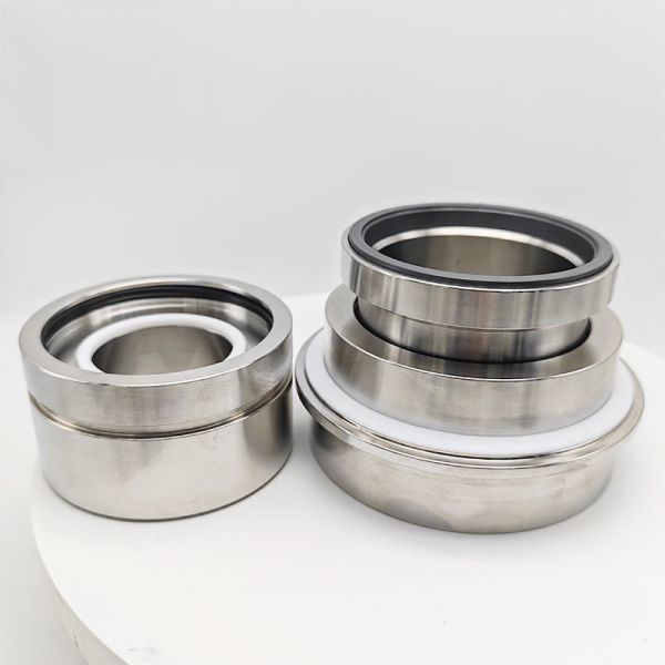 Mechanical Seal TB1, TB1F & TB2 for Sulzer Process Pumps for Mixer SIC/SIC/PTFE/304