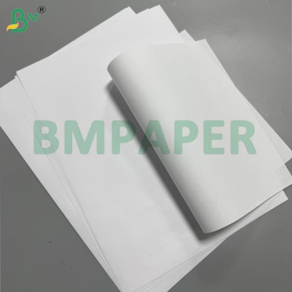 55gsm A4 Carbonless Copy Paper Sheets CB White CF Color NCR Paper, Blue Image