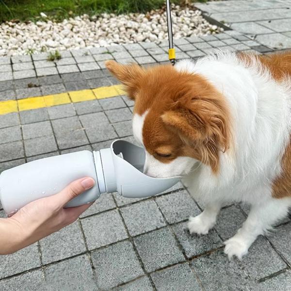 550ml Outdoor Pet Feeding Bottle Folding Portable Dog Water Bottles