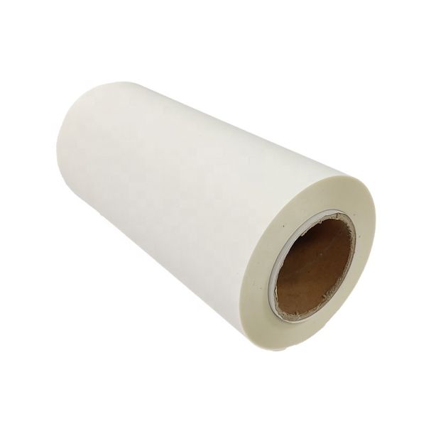 FCOLOR 12inch 30 CM Size Hot Peel DTF PET Film Roll For Heat Transfer Printer
