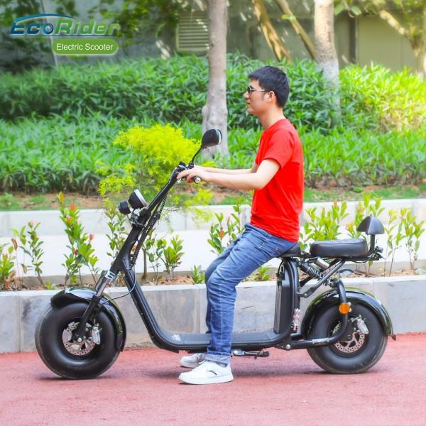 EcoRider Fat Tire 2 Wheel Electric Bicycle , On Off Road Eletric Scooter With Remote