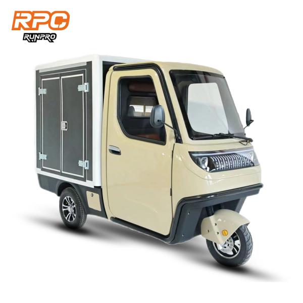 Opitional 1KW/2.5KW/3KW 60V Cargo Electric Tricycle for Large Space and Multiple Color