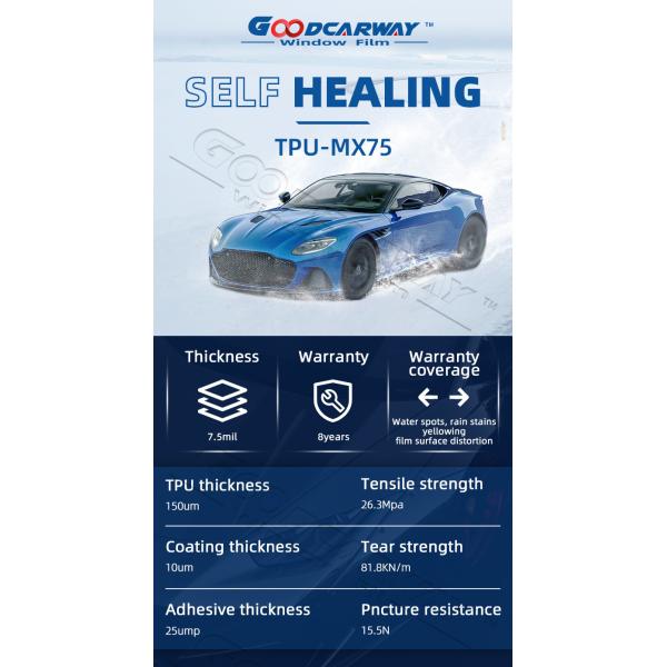 Блестящий PPF 7.5ml Мокрое применение Гидрофобность Самовосстановление PPF 8 лет Гарантия