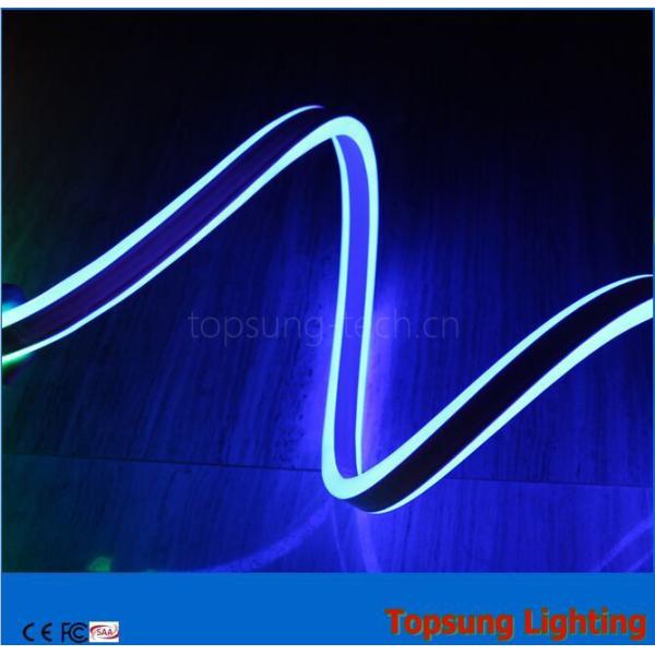 whole sale 230V double-sided blue led neon flexible strip for buildings