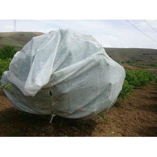Customized Agricultural Nets Making Machine 200-600 Speed 220V