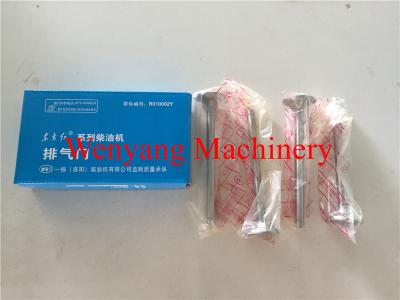 válvula de exaustão original R010002 das peças sobresselentes YTR4105 do motor de YTO