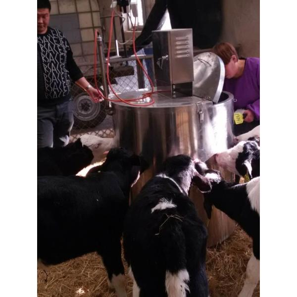 10 Rubber Teats Stainless Steel Baby Cow Milk Feed Container for Calves Milk Drinking