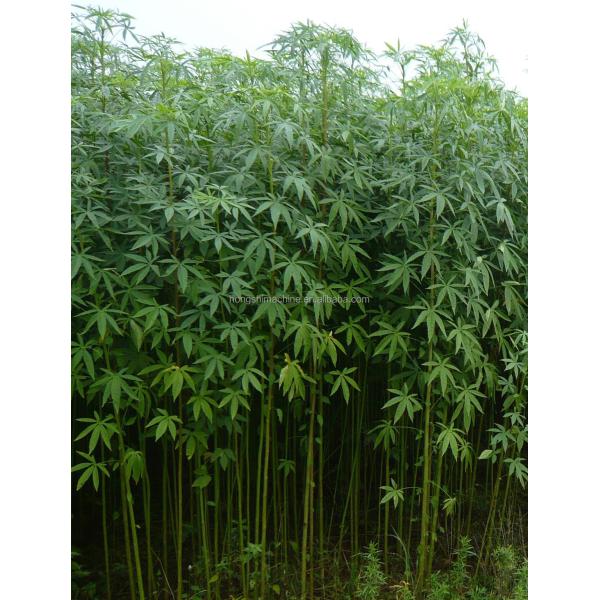 Farmer Hemp Jute Peeling Machine , Ramie Sisal Fiber Extraction Machine