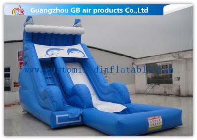 Sea Style Dolphin Inflatable Water Slides , Outdoor Inflatable Water Park With Pool