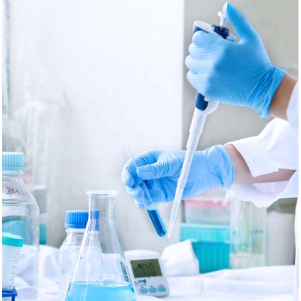 Examination Disposable Medical Gloves , Nitrile Disposable Gloves For Hospital