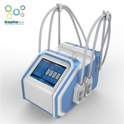 Máquina elétrica gorda da beleza da máquina da estimulação de Muslce da máquina de congelação de Cryolipolysis para a perda de peso