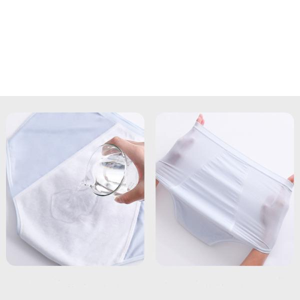 Plus Sanitary Period Panties Menstrual High Absorbency Women Period Panties