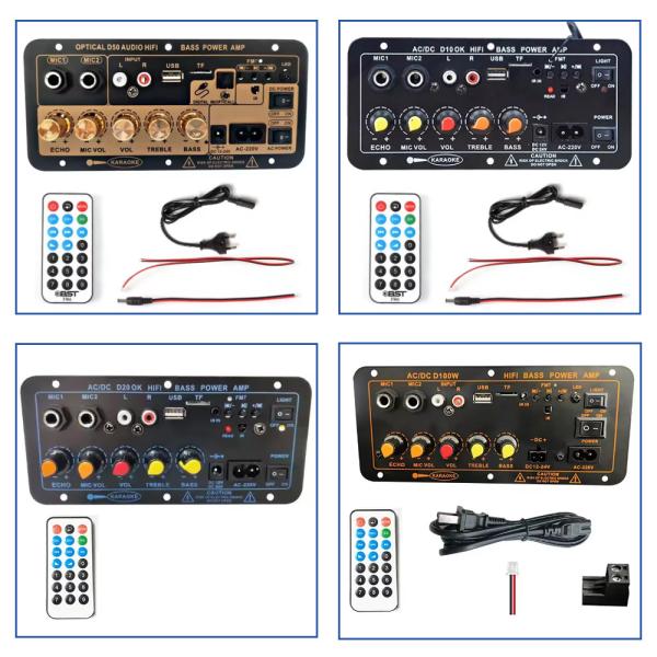 D20 200W BT 5.0 Amplifier Board Car Stereo Amplifier with Dual Microphone and Subwoofer Support