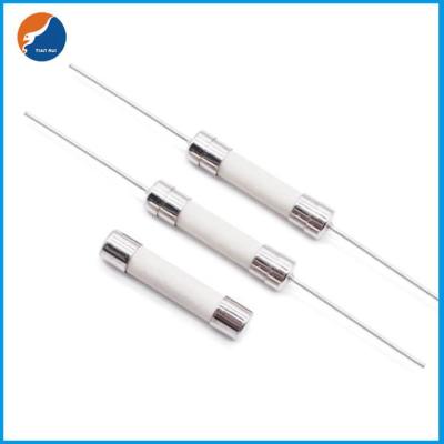 Cylinder IEC60127-7 Miniature Cartridge Fuse Time Delay 250V Ceramic Fuse