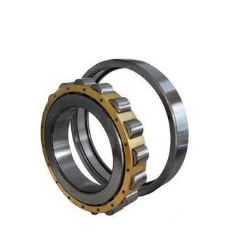 SS P4 V2 V3 V4 NJ208 Cylindrical Roller Bearing