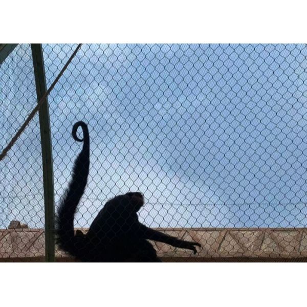 X-Tend Mesh SS316 Stainless Steel Wire Rope Mesh For Zoo Animals Cages