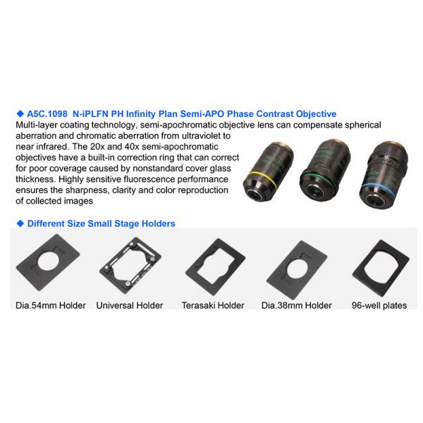 OPTO EDU A14.1096 Laboratory 22mm Inverted Fluorescence Microscope