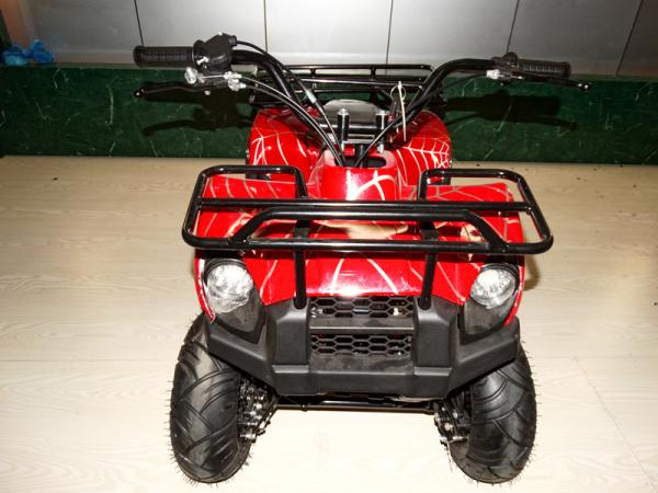 49cc New Model small ATV,2-stroke.air-cooled.hot sale models in Eurpoe.good quality.