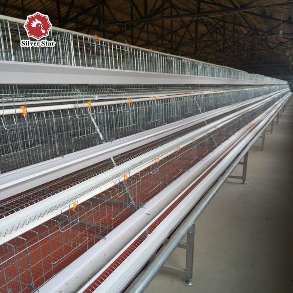 A Type 3 Tiers Big Size Chicken Breeding Cage Chicken Farm