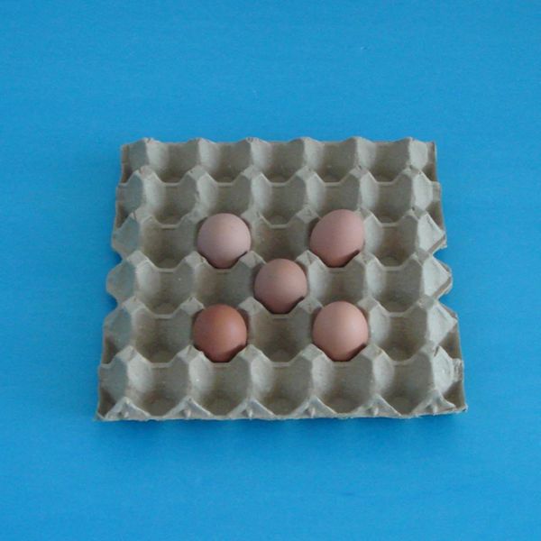 Full Automatic Moulding Pulp Egg Tray Machine with 4000 Pcs/H