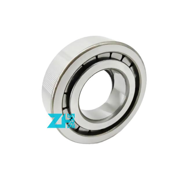 40*80*23mm Hydraulic Pump Cylindrical Roller Bearing F-56718 Spherical Structure