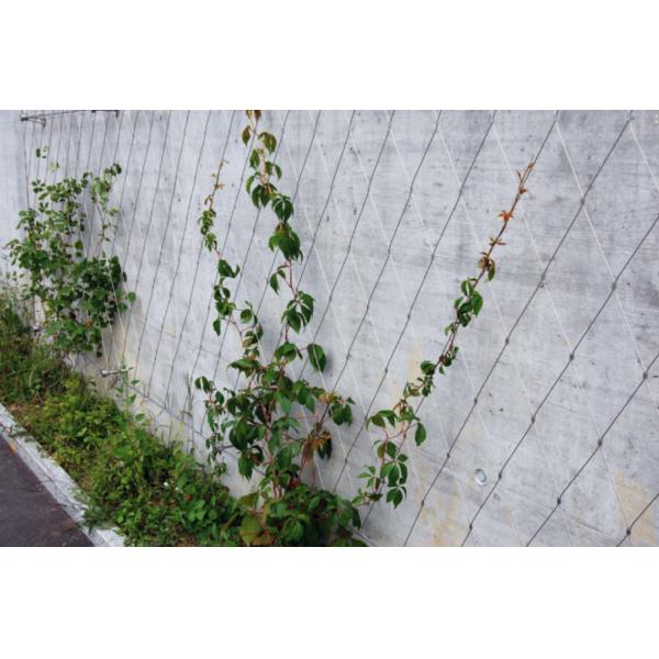 Weatherproof Green Wall Diamond 7x19 Stainless Steel Cable Mesh