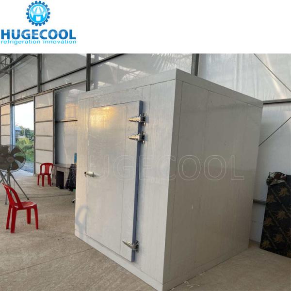 Sala de armazenamento a frio de painéis de PU de 100 mm para soluções de conservação e armazenamento de alimentos em restaurantes