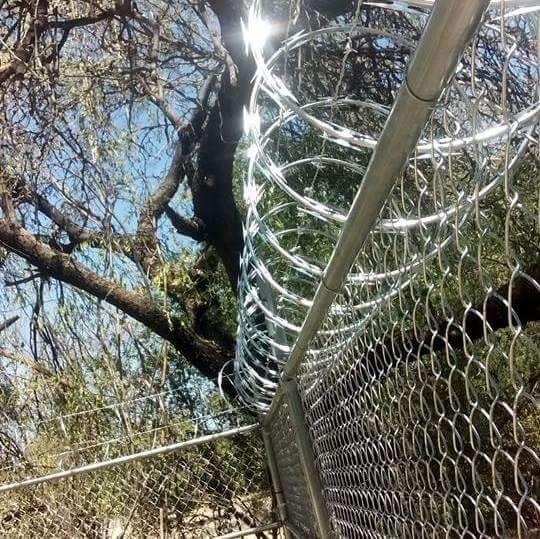 Proper Price Top Quality  Galvanized Stainless Steel 2.5 Mm Razor Barbed Wire Barbed Wire Product