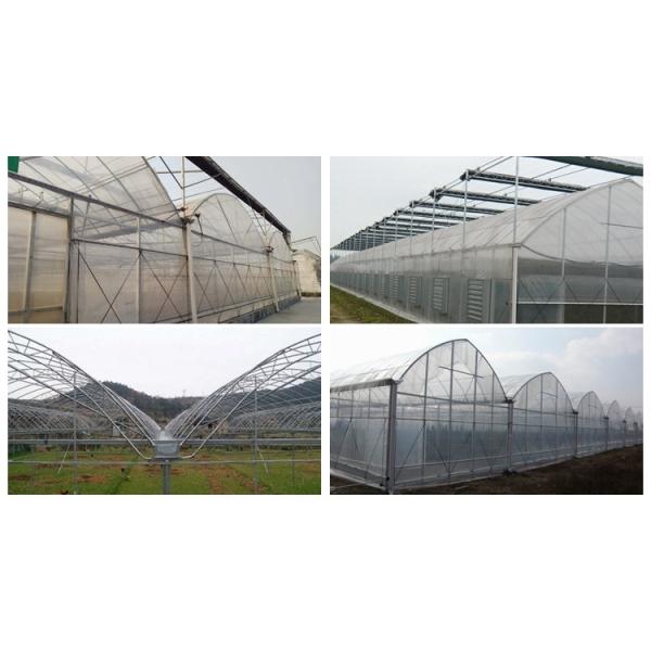 Секция 4m-5m Теплицы - окончательное решение для коммерческого земледелия