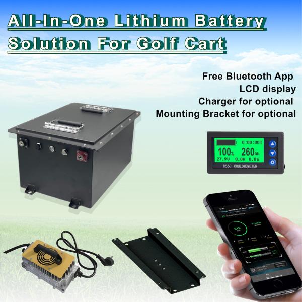 Перезаряжаемые литиево-железные батареи 36 В 100 Ач Торга для гольфа LiFePO4 батарея