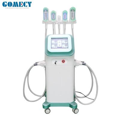 AC110V máquina gorda da redução de um Cryolipolysis de 360 graus para o removedor dos queixos dobro