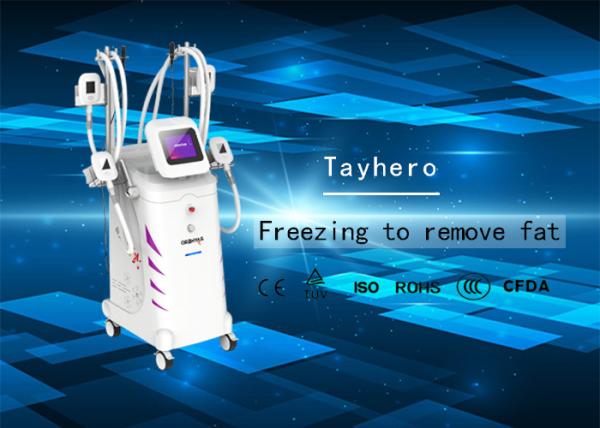 Weight Loss Equipment / Cryolipolysis Slimming Machine For Beauty Salon