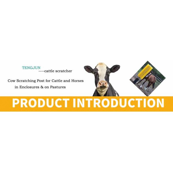 Durable Bristle Cattle Livestock Bristles for Longevity Comfort Brush For Animal