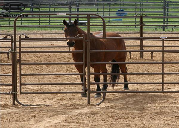 High Strength Q345 Steel Horse Fence Anti Chew Coating 1.8m Height