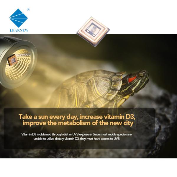 LED SMD en céramique UVB LED CHIP 290nm 300nm 310MN 315nm 3535 Puce LED pour le supplément de calcium pour animaux